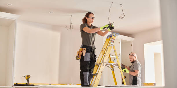 Best Electrical Upgrades for Homes  in Roseville, MI
