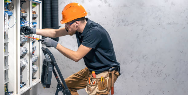 Best Electrical System Inspection  in Roseville, MI