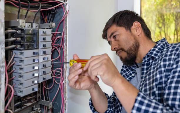 Best Electrical Rewiring Services  in Roseville, MI